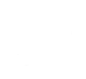 Das neue Programm!